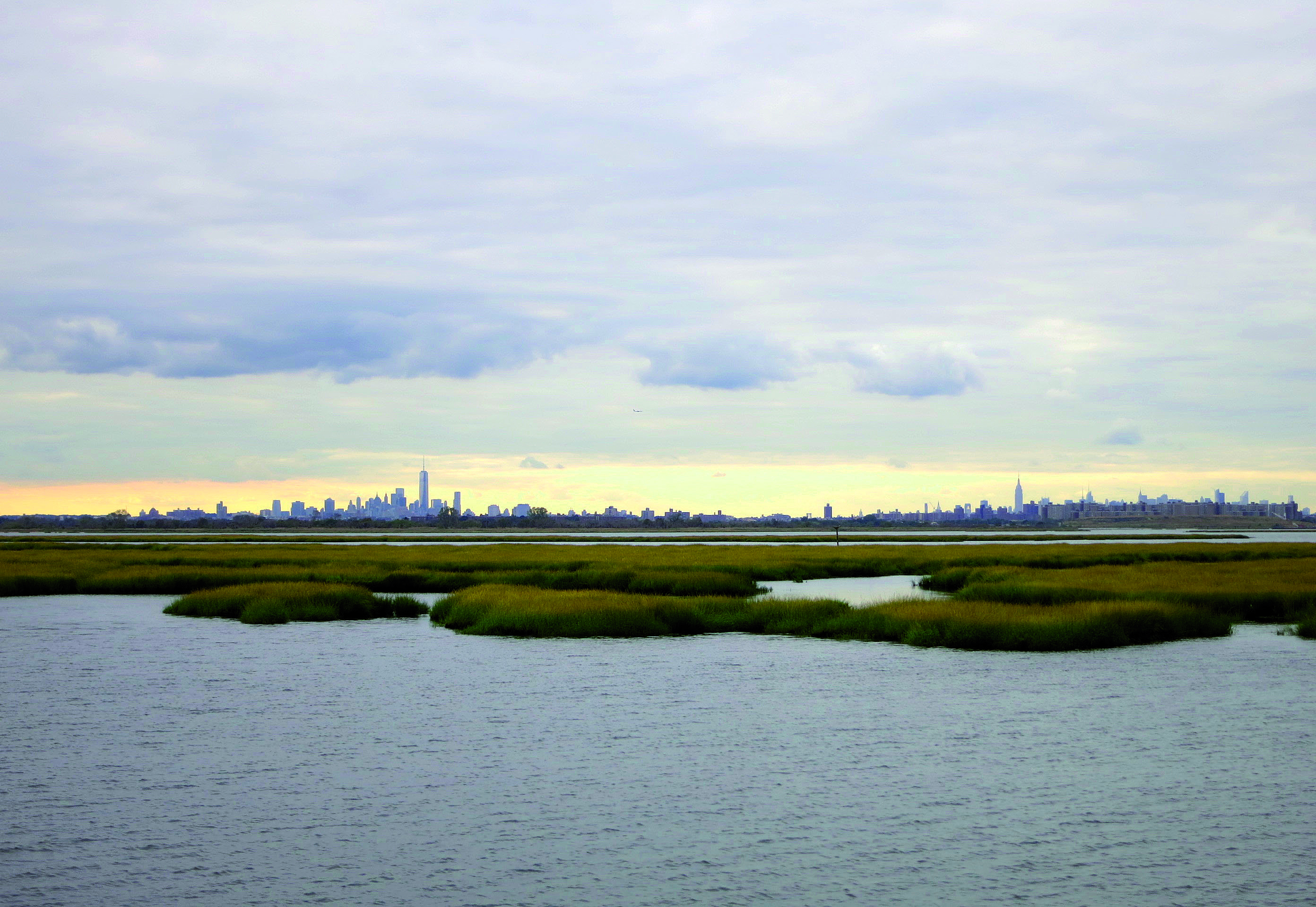 NewYork Lowlands wetlands