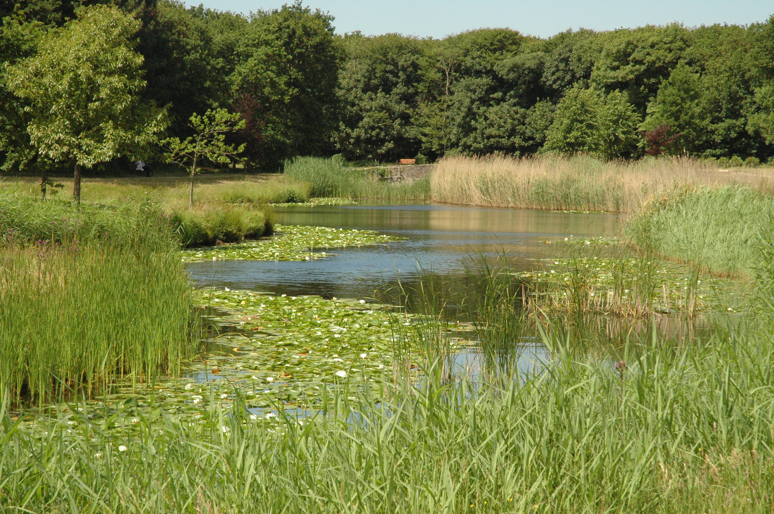 Landschap Westhove