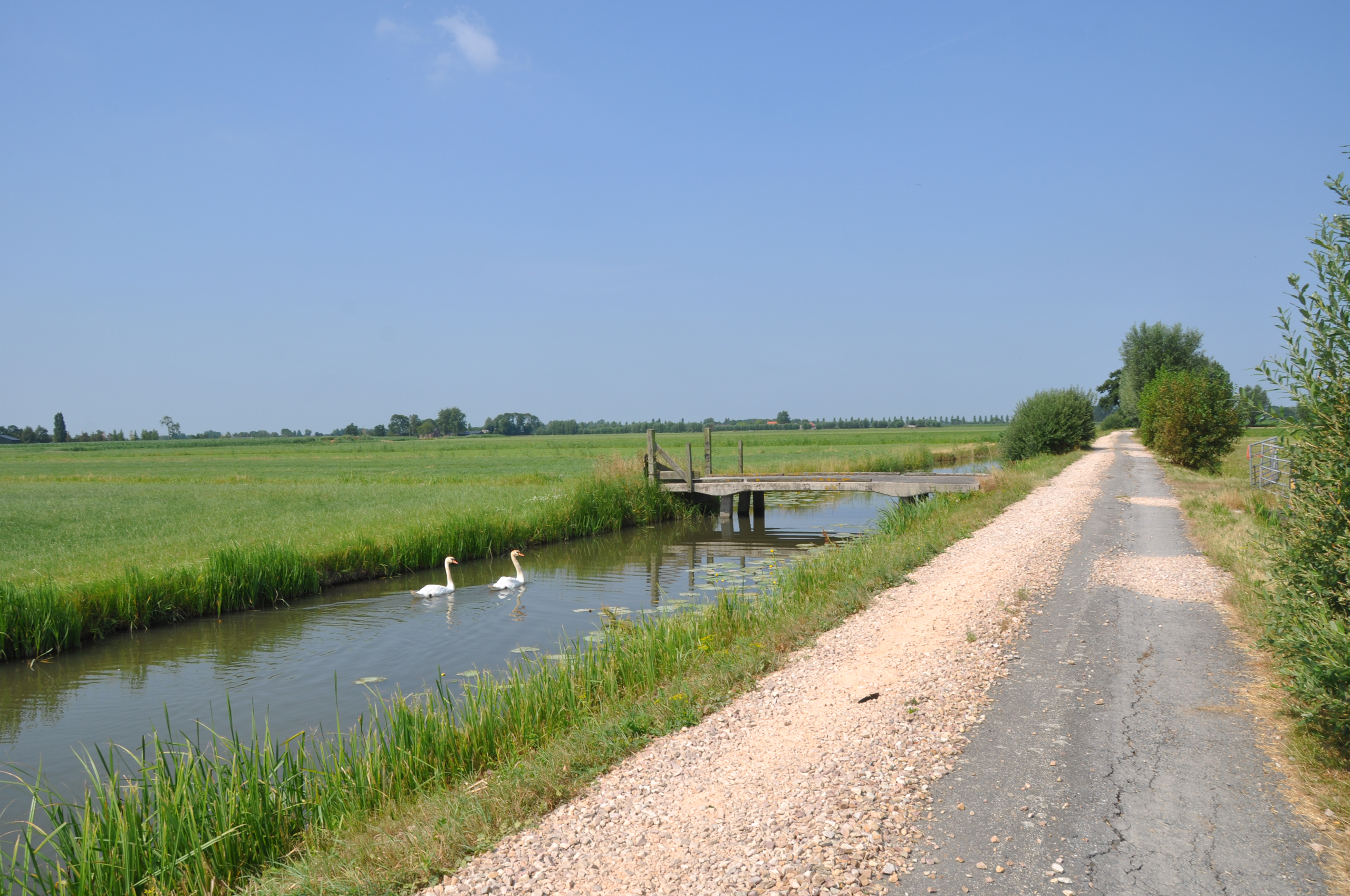 Landschap Rijnenburg Utrecht