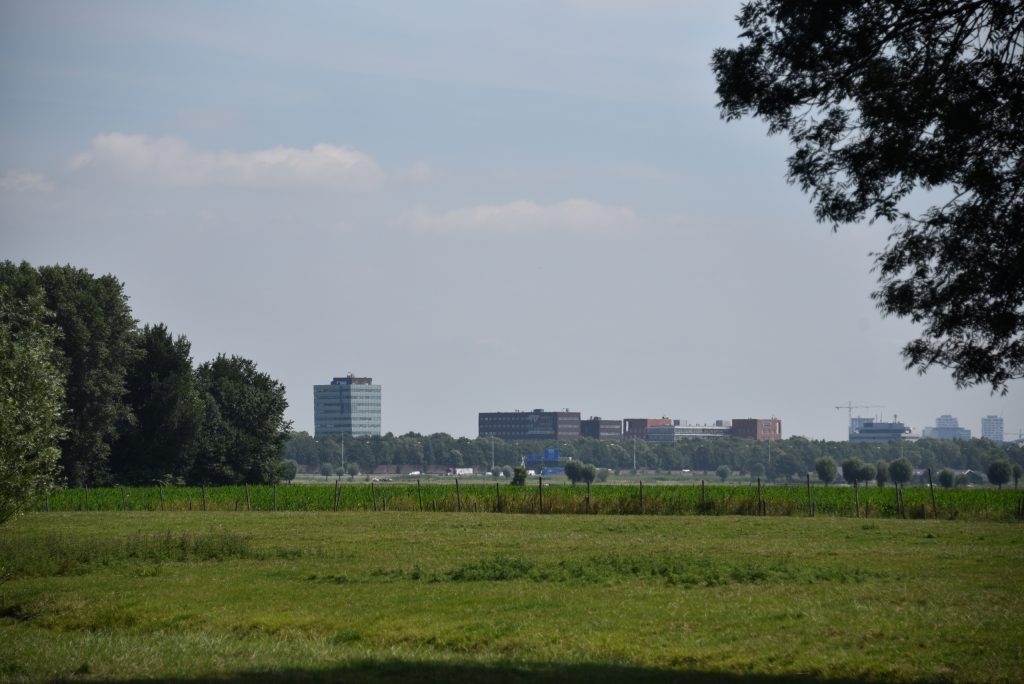 Landschap Rijnenburg