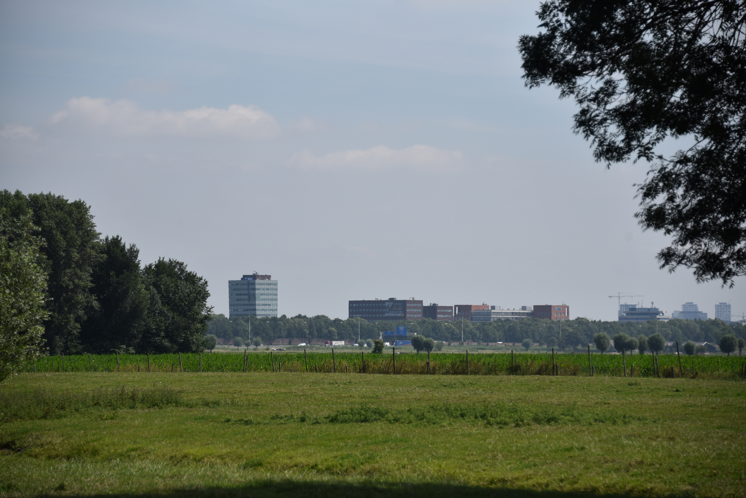 Landschap Rijnenburg