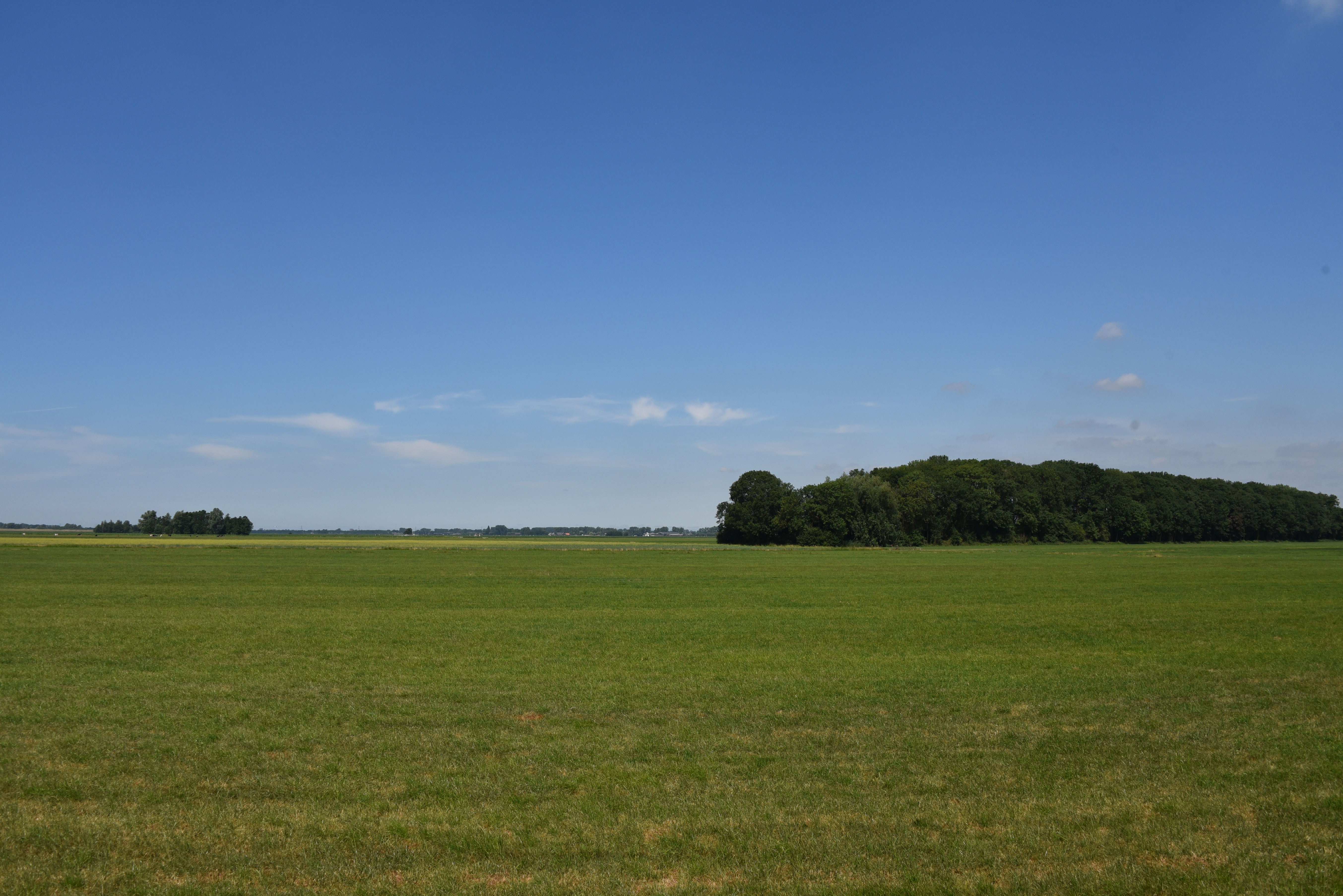 Landschap Rijnenburg vlak land