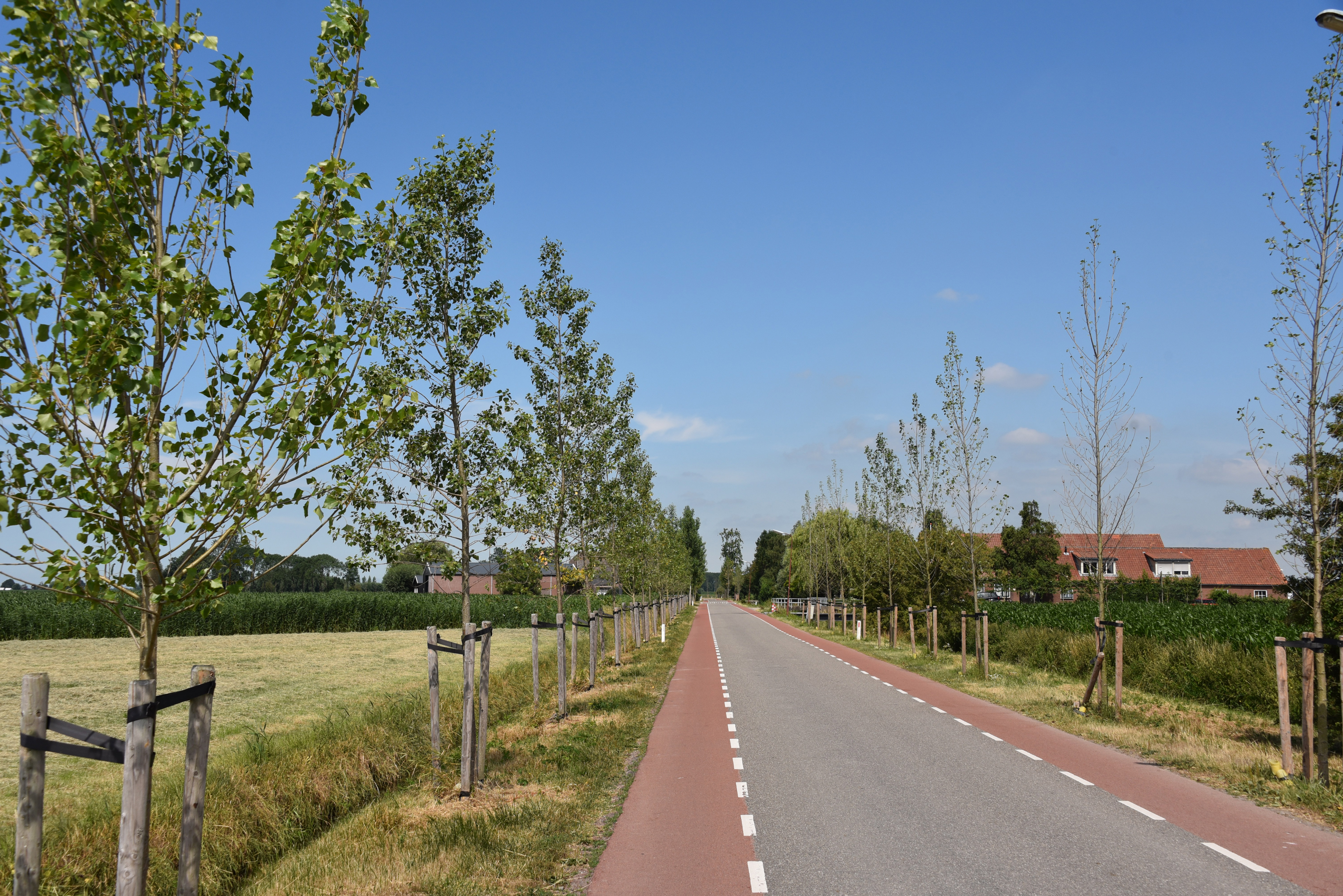Landschap Rijnenburg laan