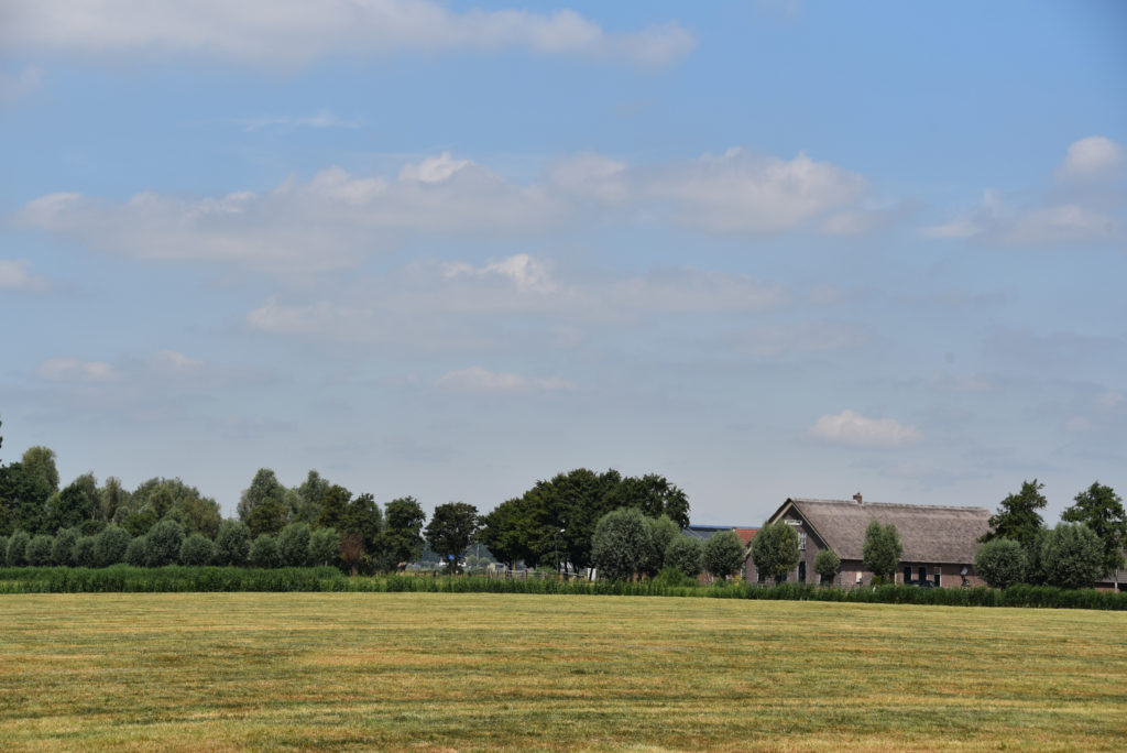 Landschap Rijnenburg met boerderij