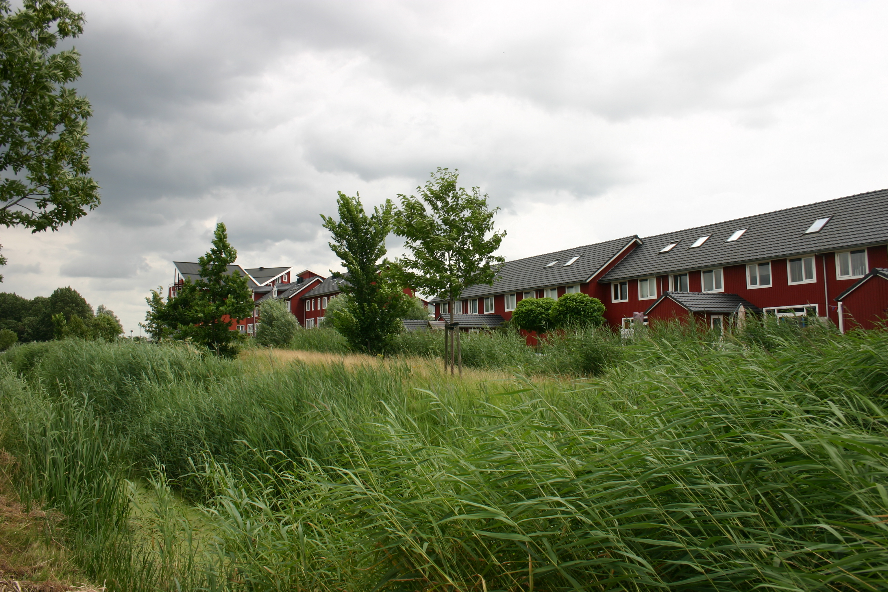 Huizen in Schiedam