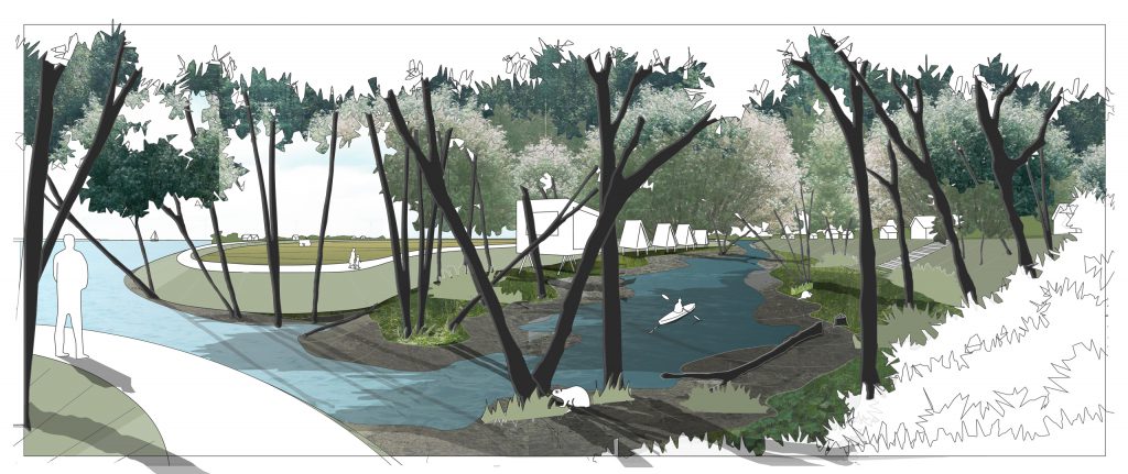 Visualisatie bos