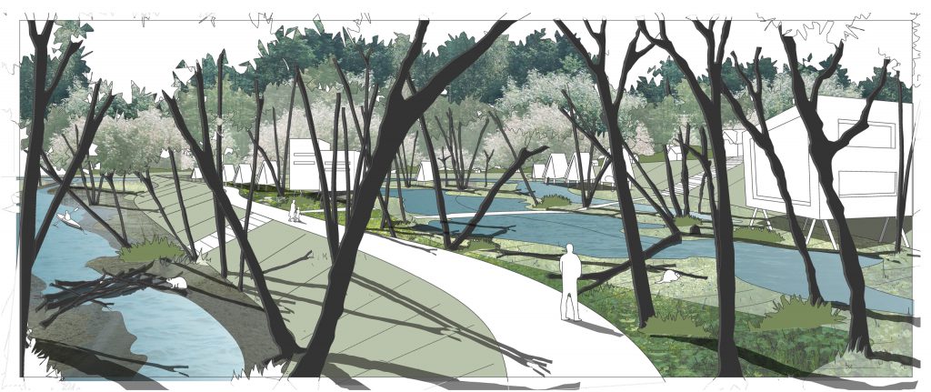 Visualisatie bos