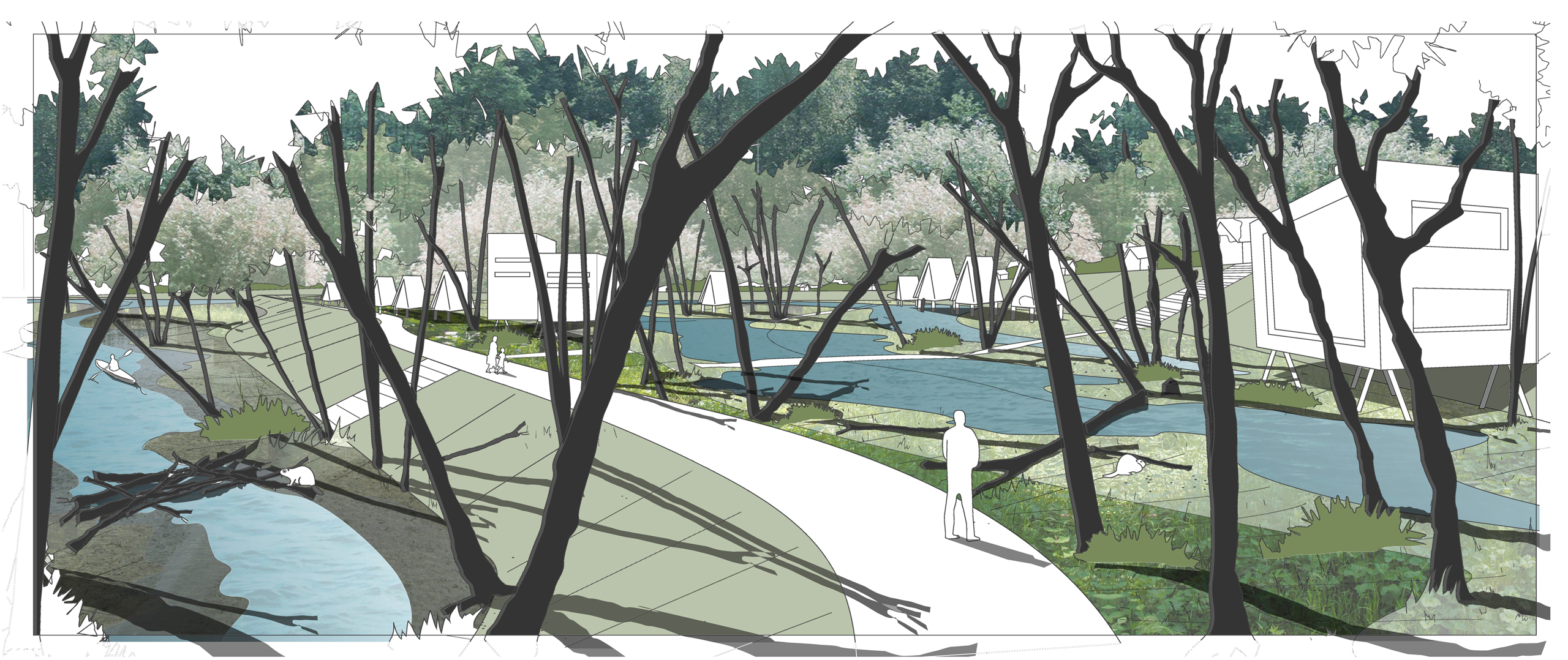 Visualisatie bos