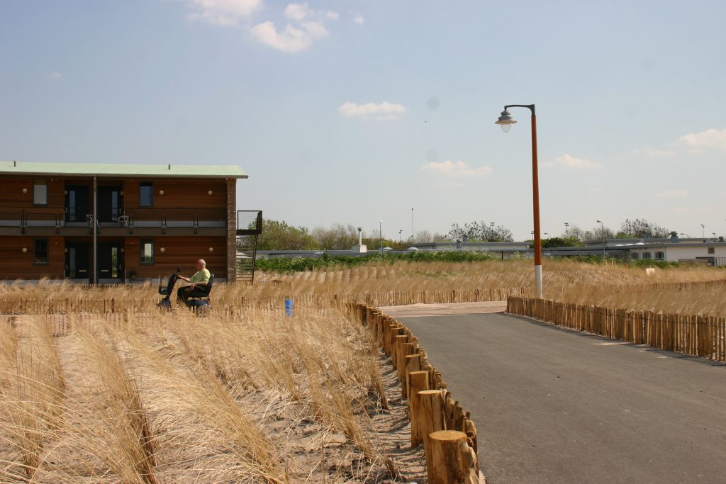 Beplanting Zeehospitium