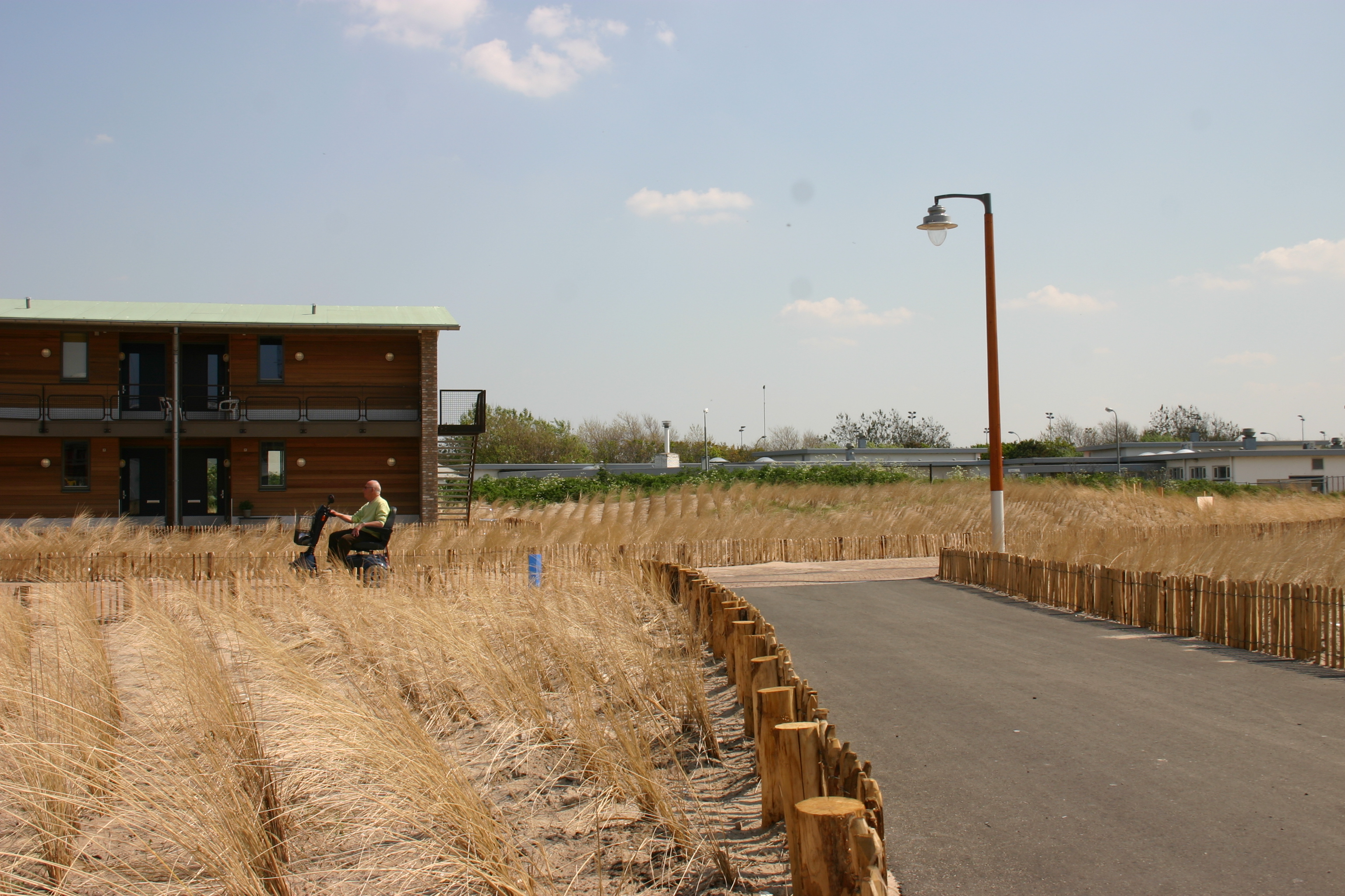 Beplanting Zeehospitium