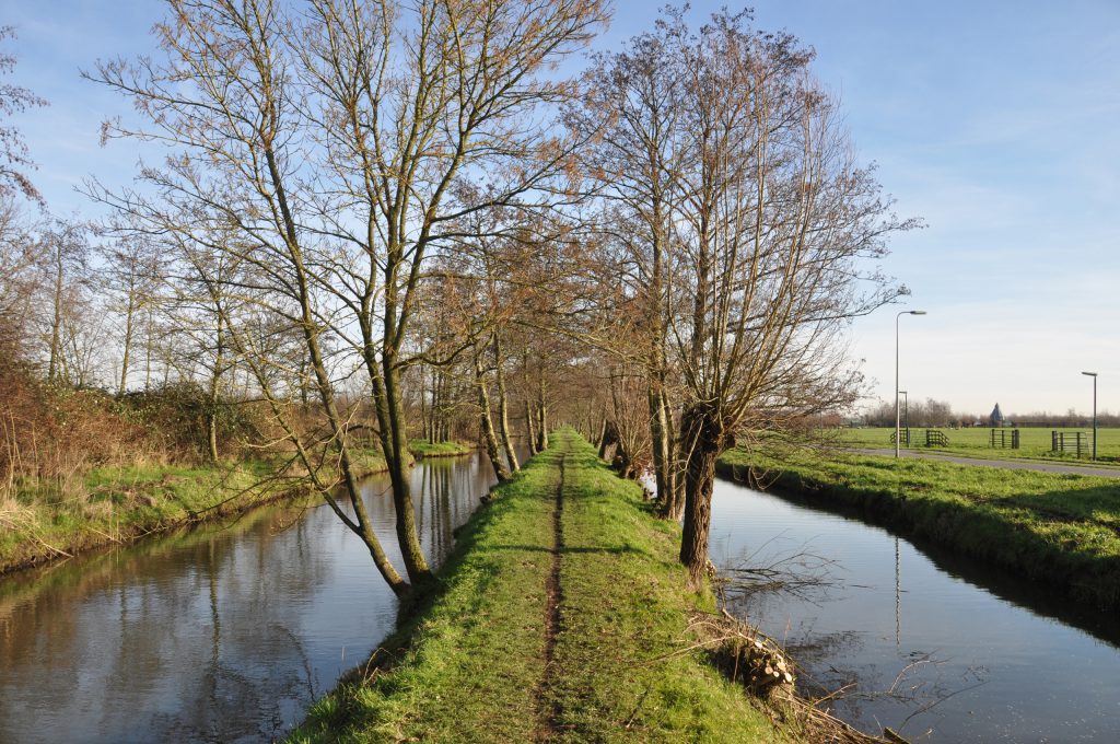 Wandelpad Molenwaard