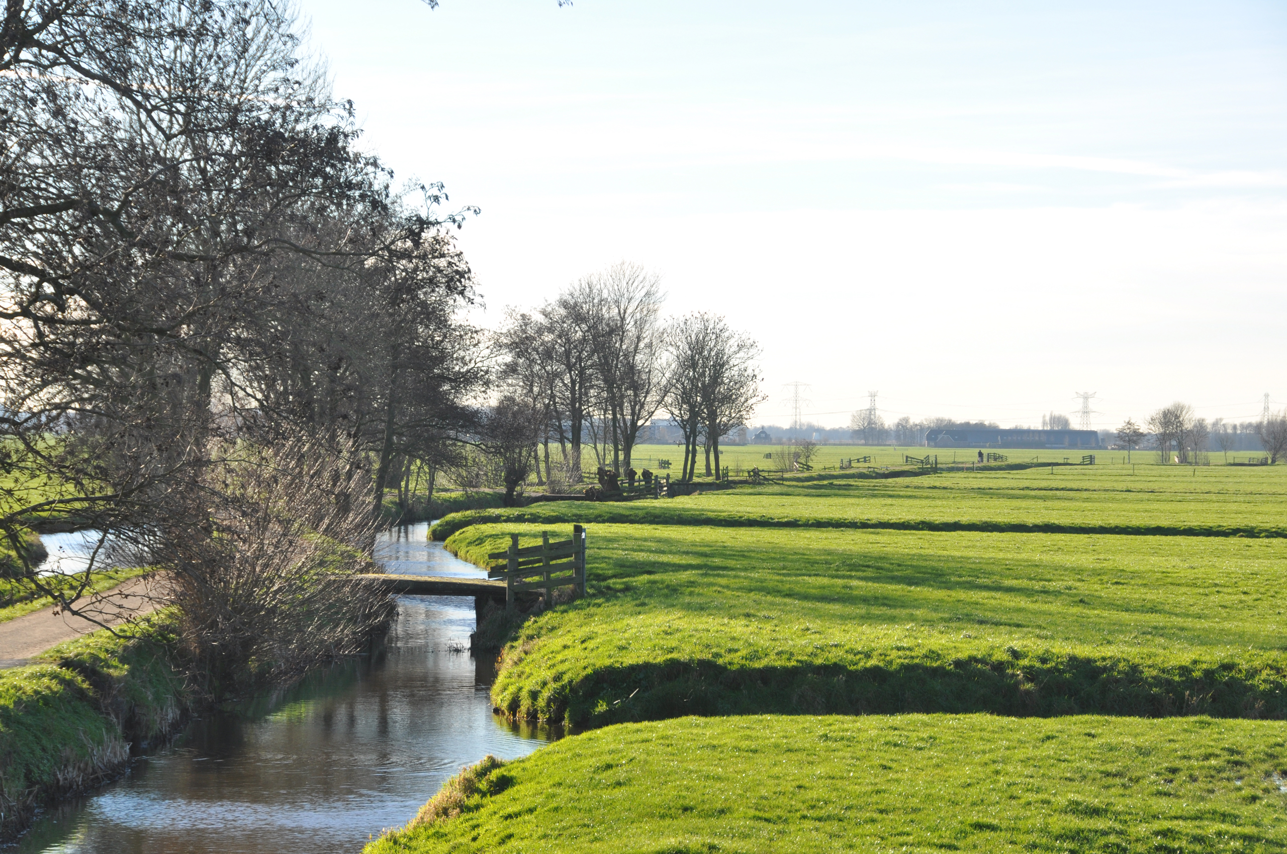 Veld en sloten