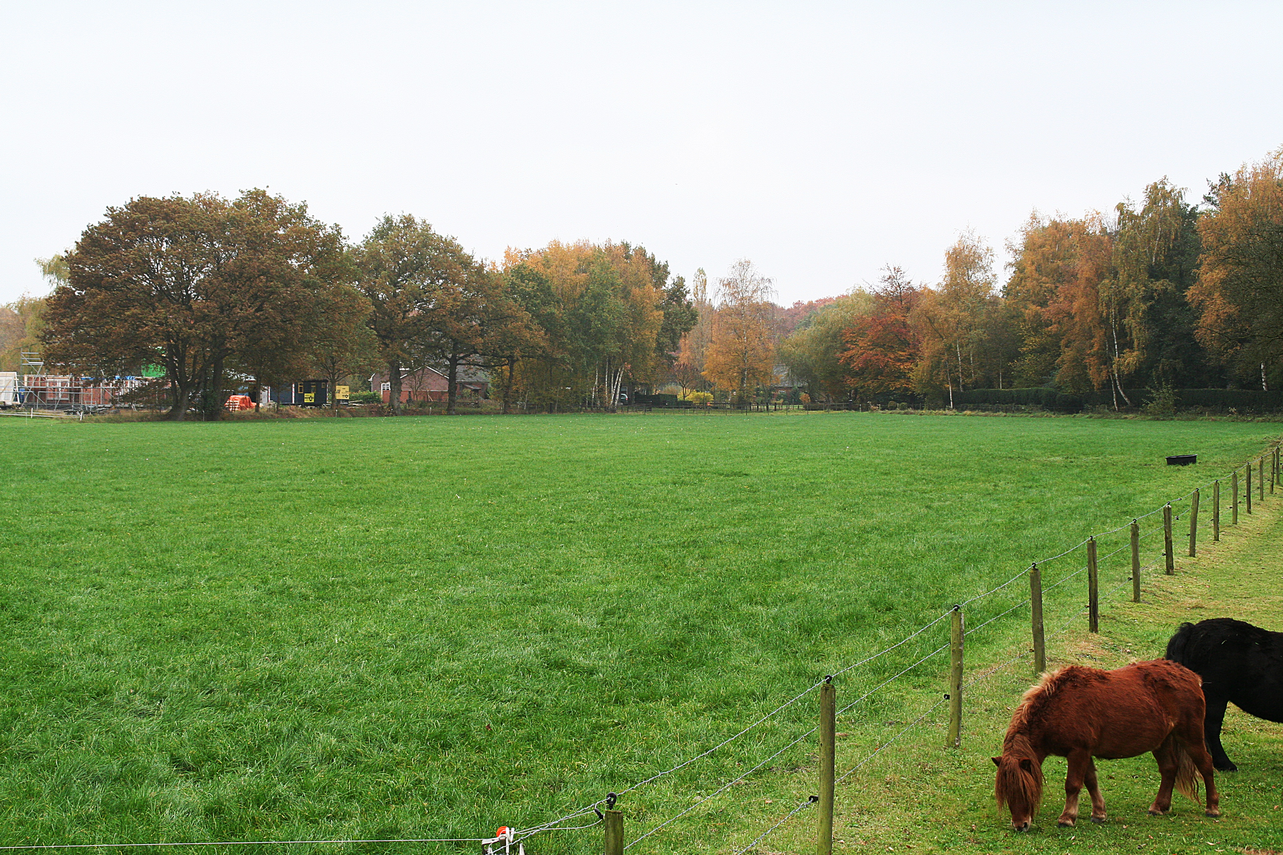 Weide nieuwe erven Lochem