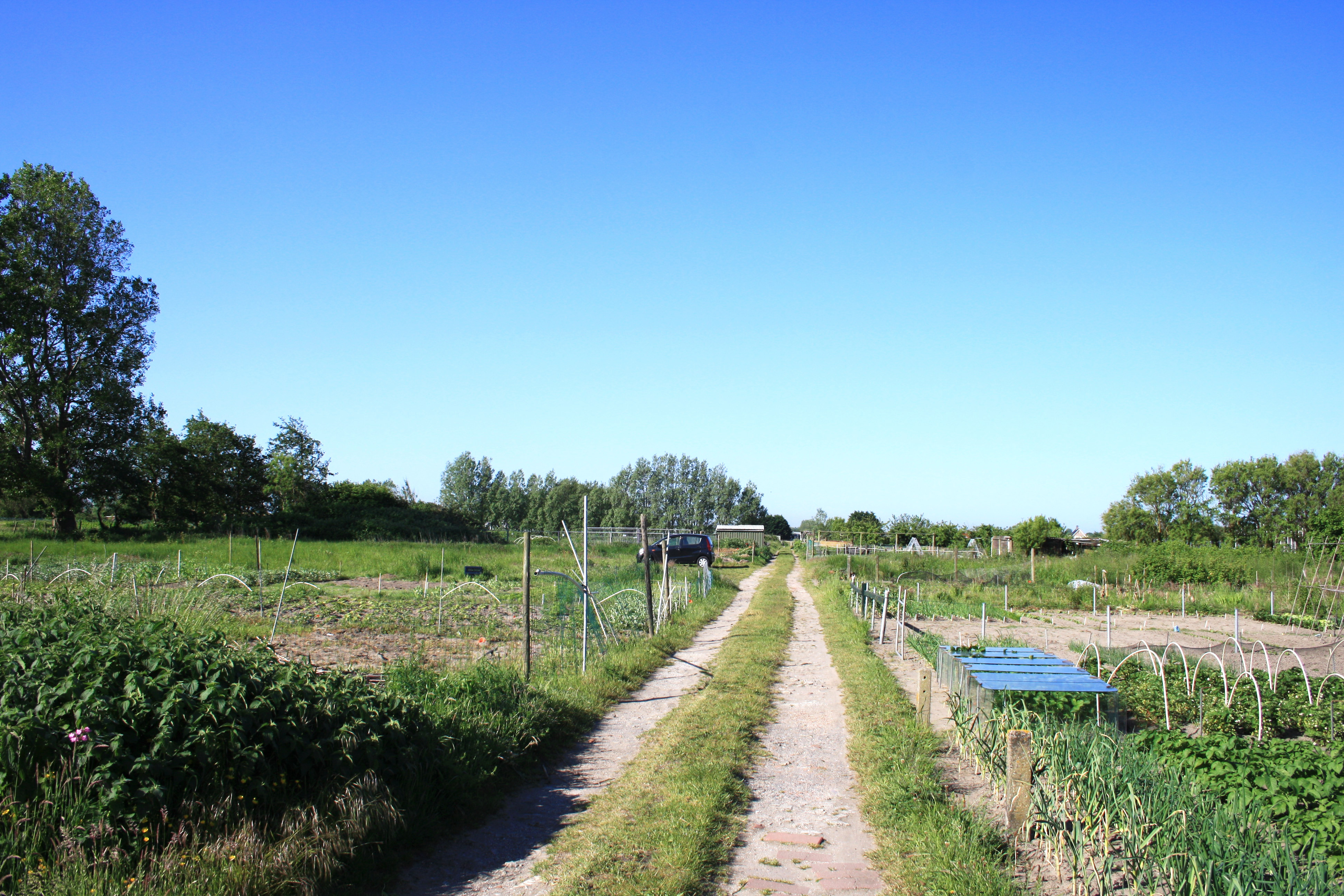 Oorspronkelijk gebied Offem Zuid