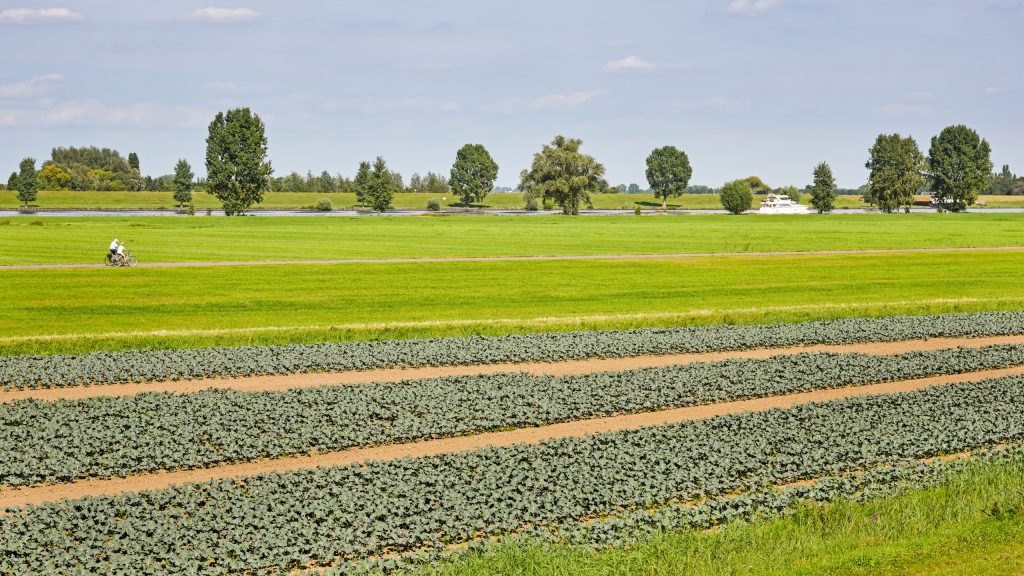 Polder en tussenkade Bergsche Maas