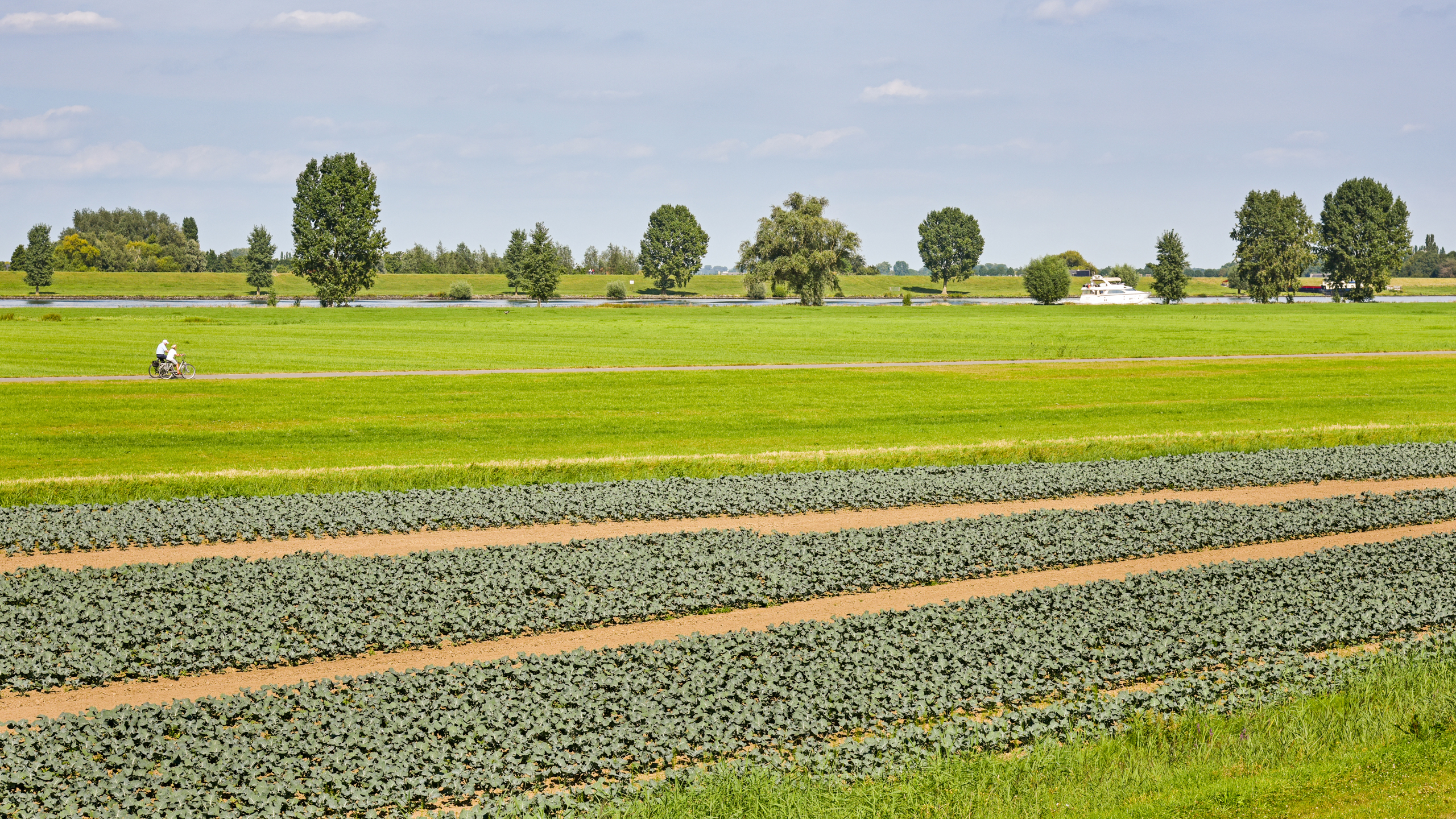 Polder en tussenkade Bergsche Maas
