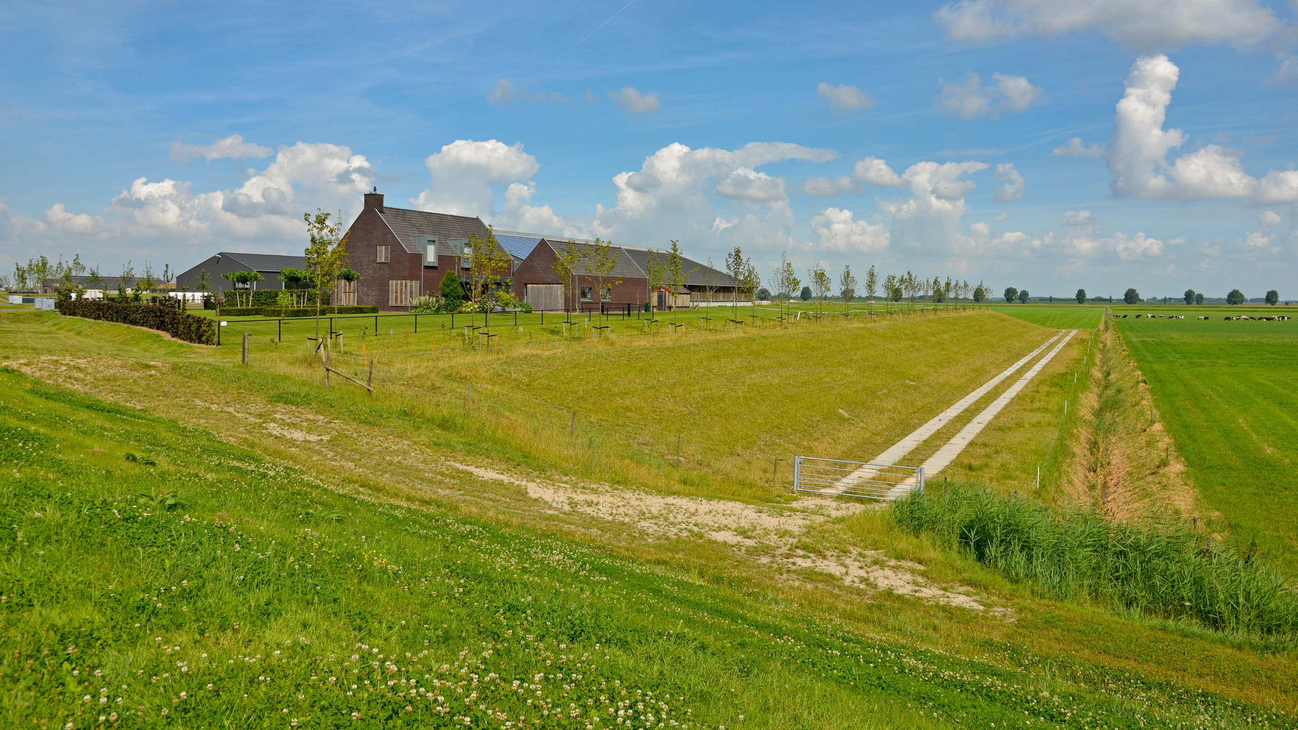 Terpenplan Overdiepse polder