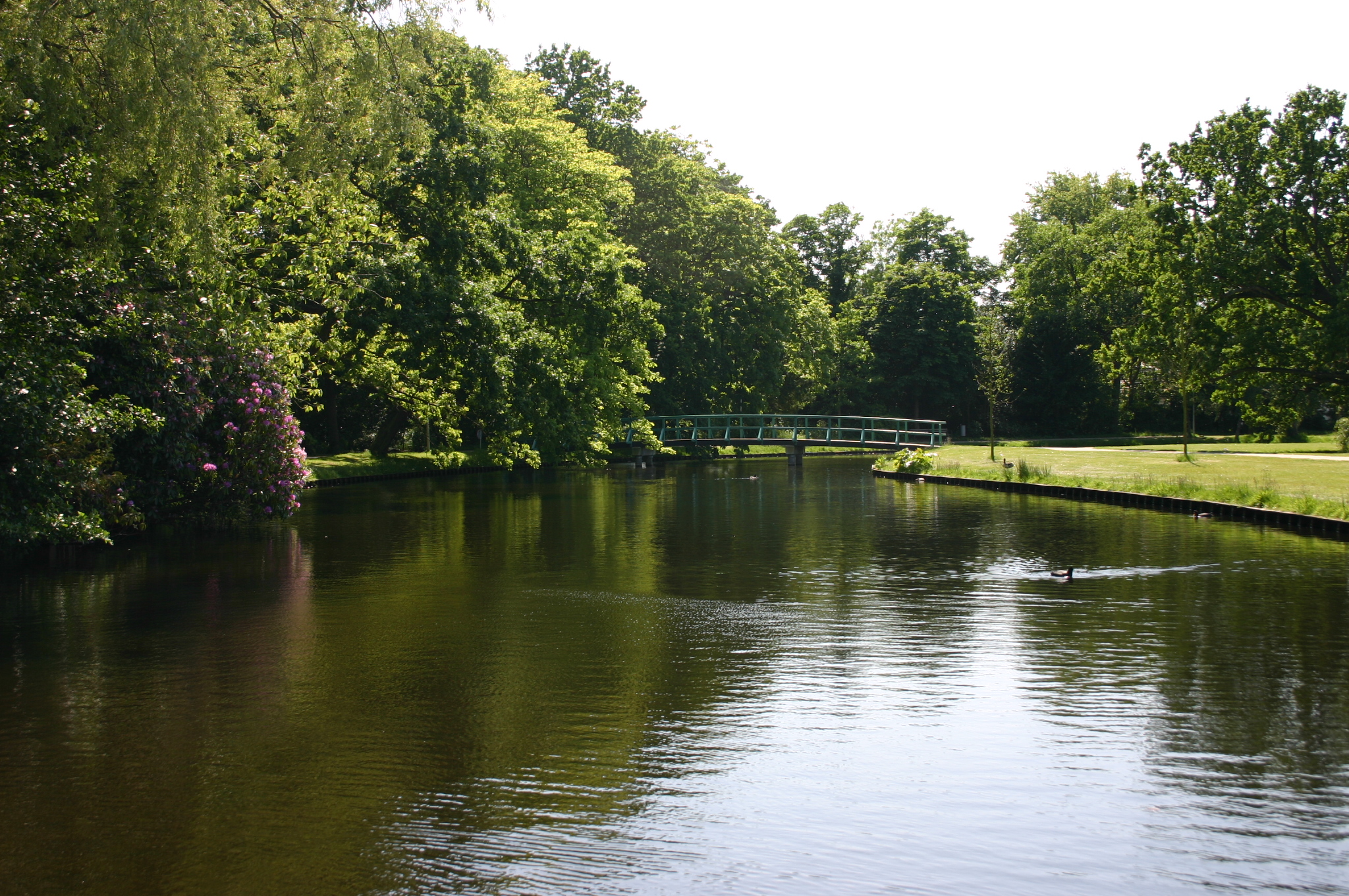 Brug overgang vijver