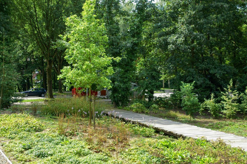 Vlonder wandelpad