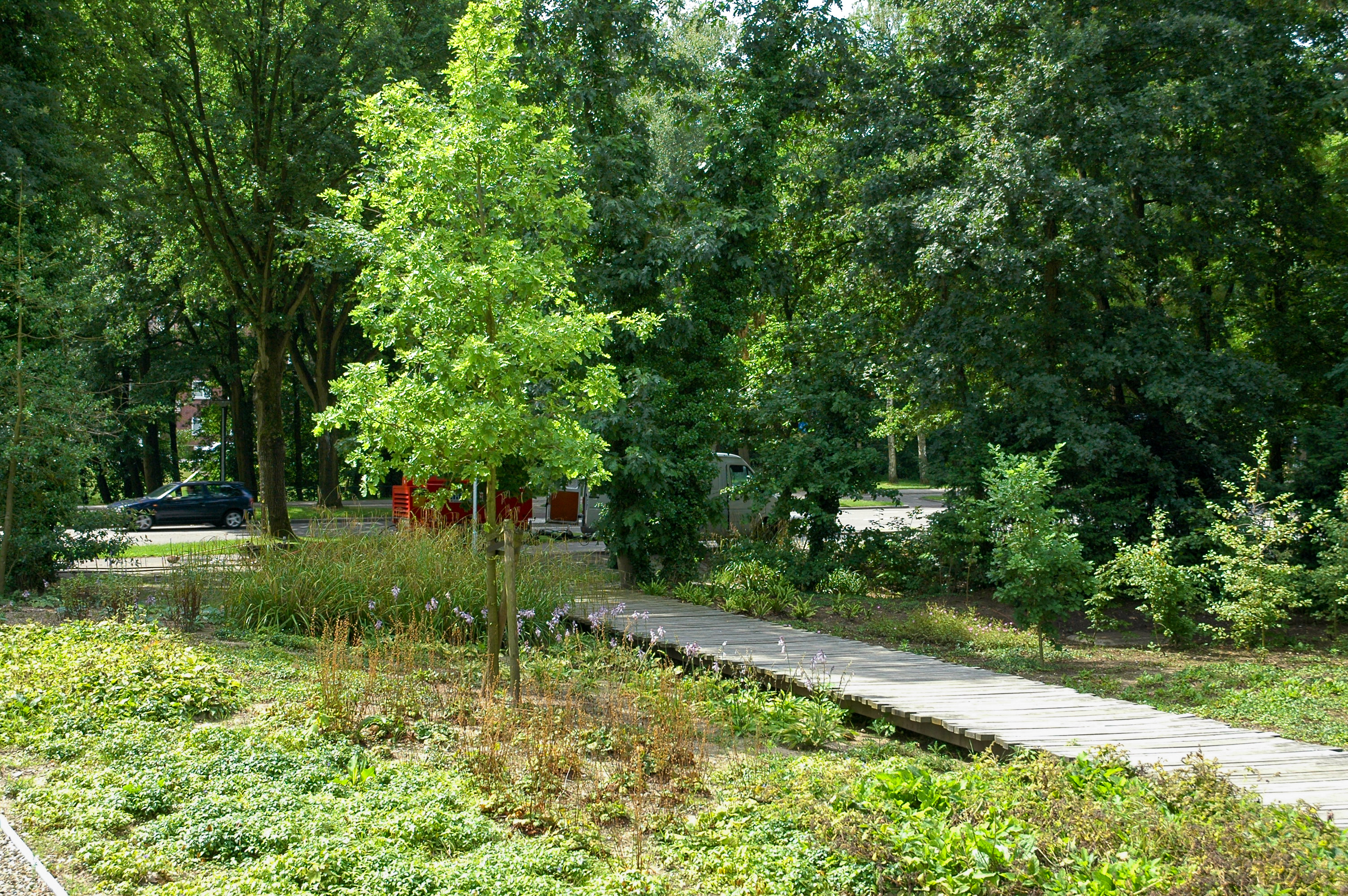 Vlonder wandelpad