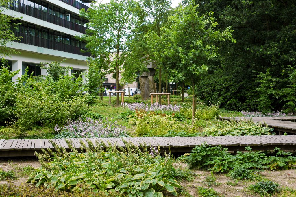 Wandelpad vlonder