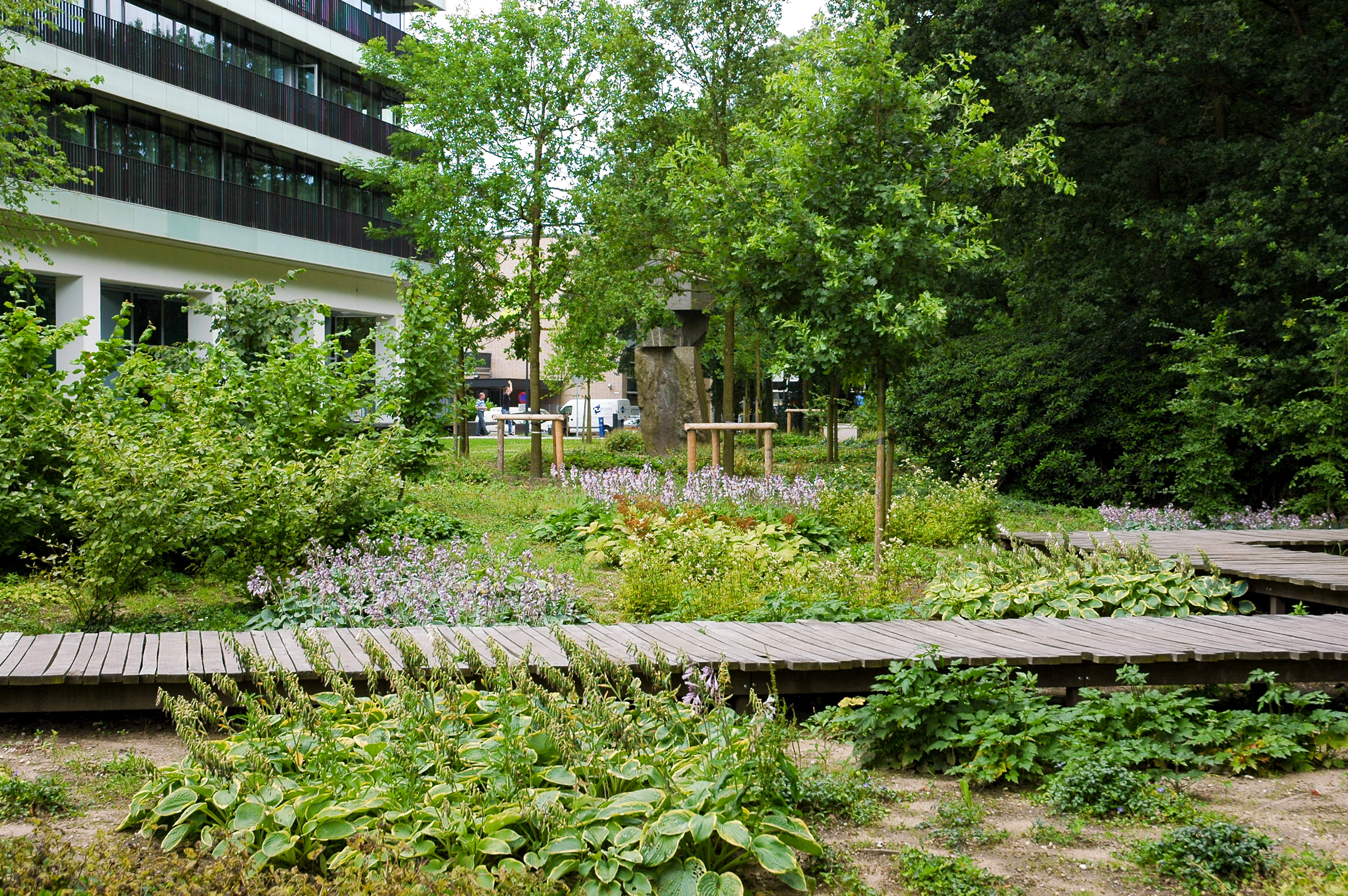 Wandelpad vlonder