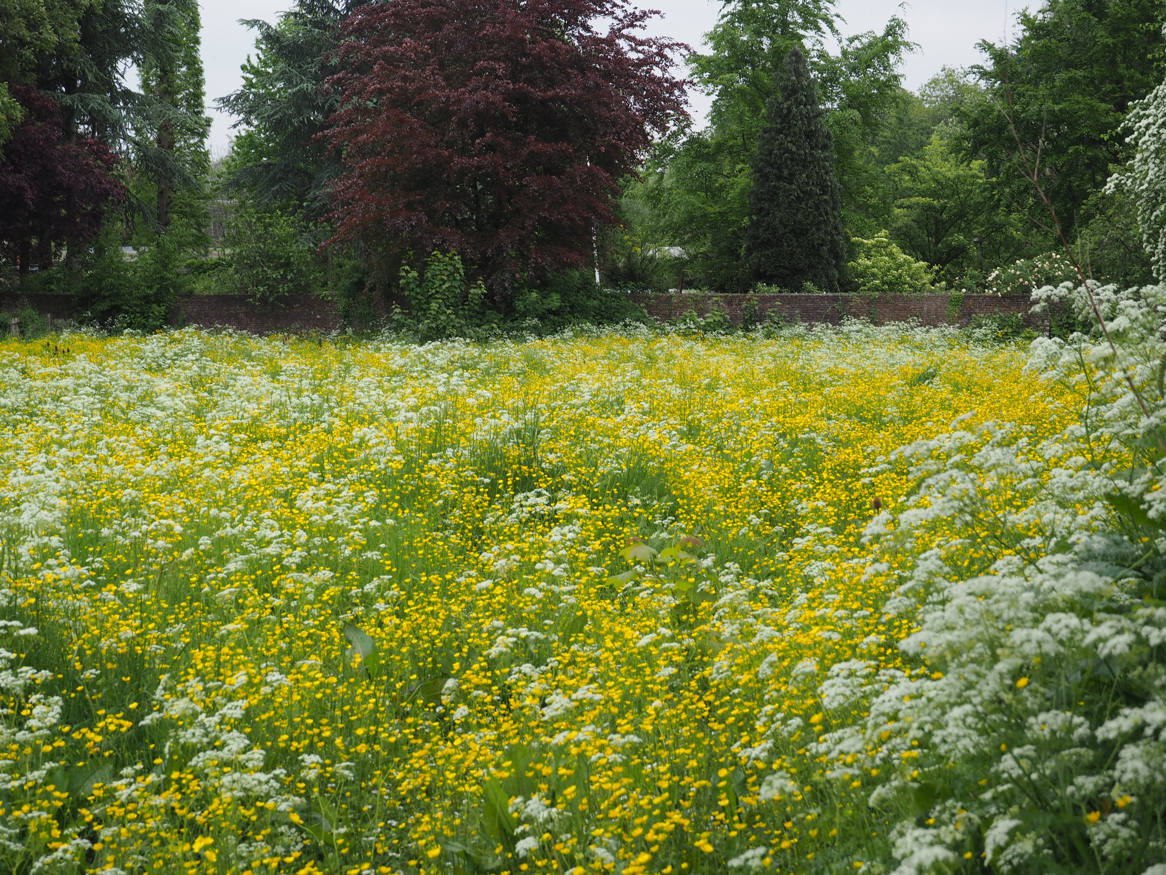 Visie Zaltbommel veld