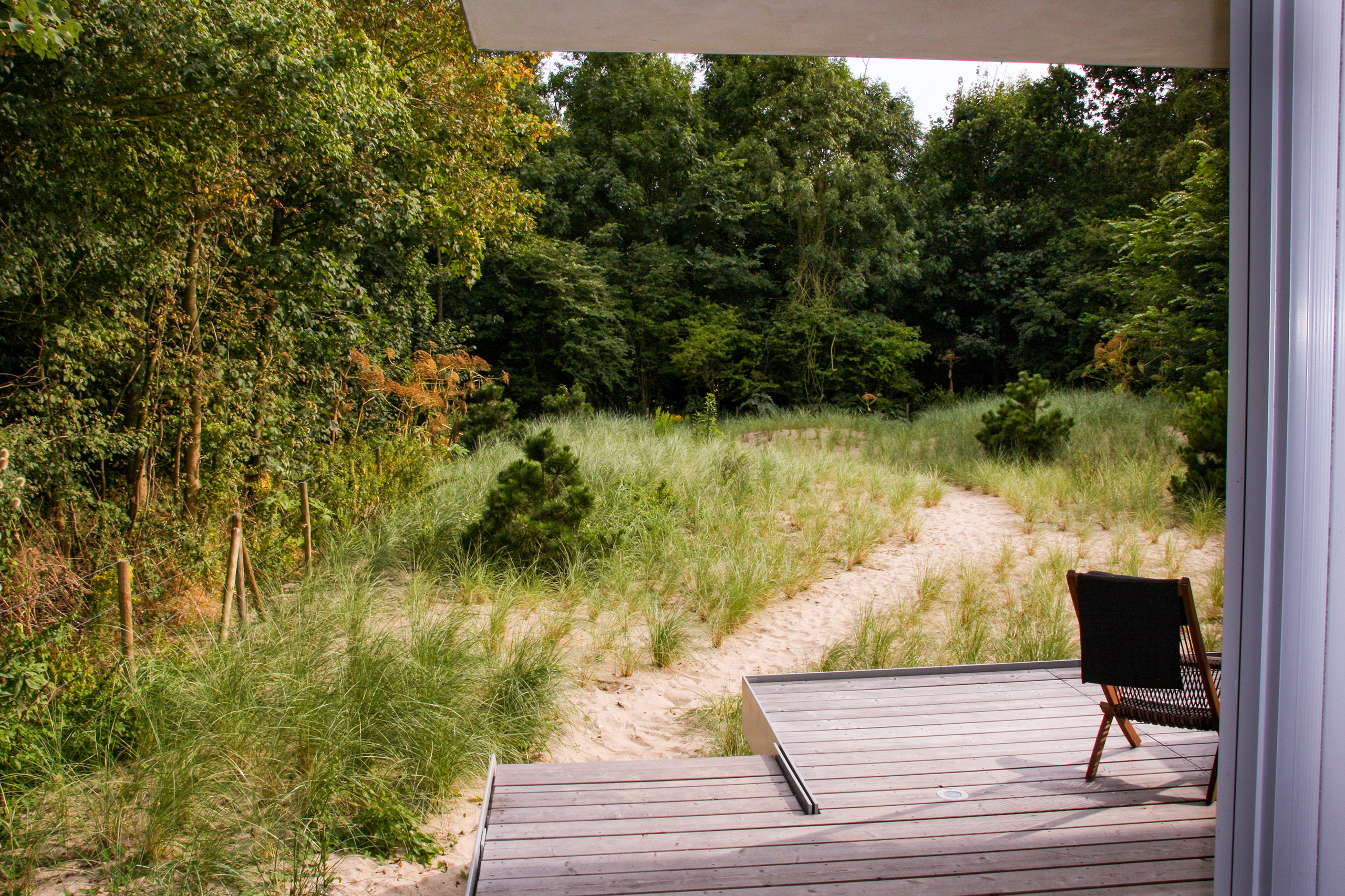 Zicht vanaf terras naar de tuin