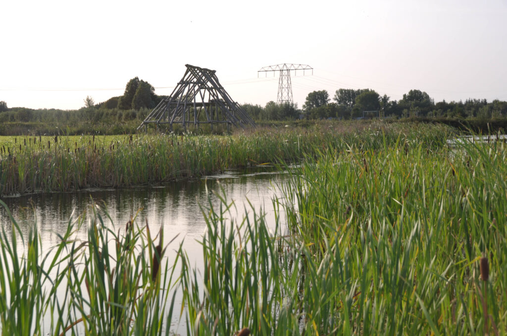 BoschSlabbers Landschapsarchitecten Opstelterrein Haren Zomer