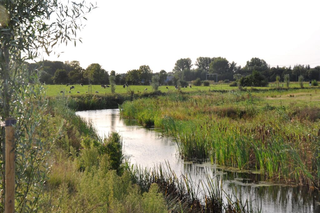 BoschSlabbers Landschapsarchitecten Opstelterrein Haren Zomer