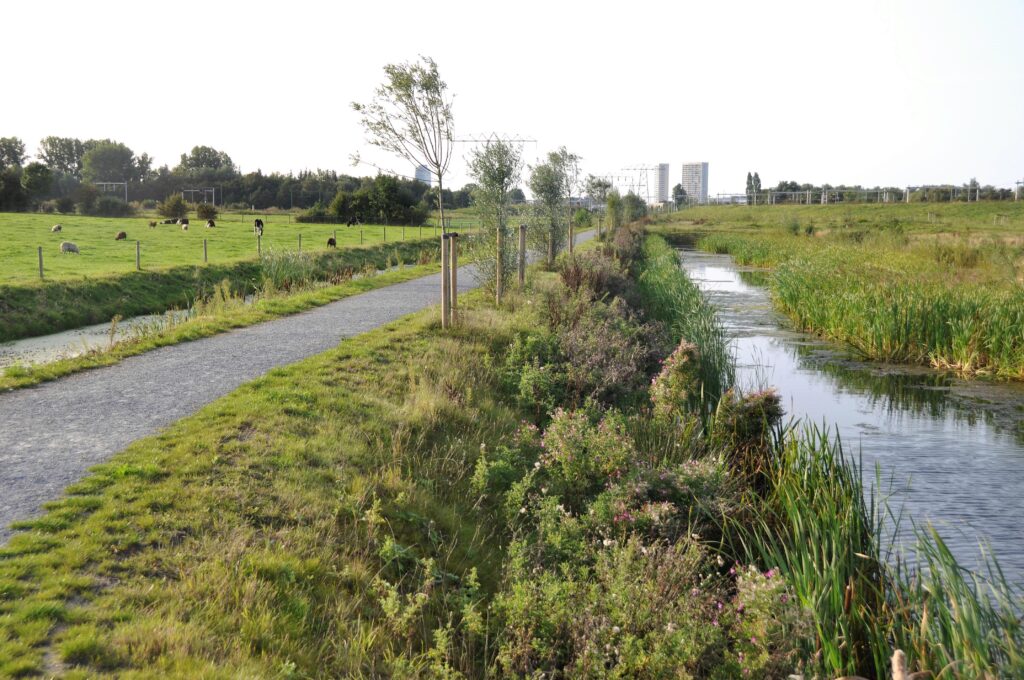 BoschSlabbers Landschapsarchitecten Opstelterrein Haren Zomer