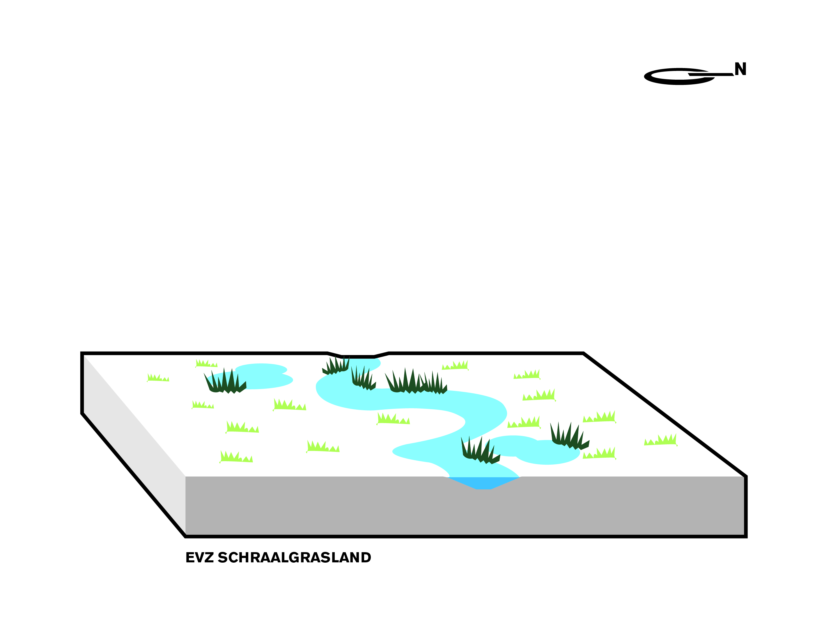 Concept ecologie schraalgras