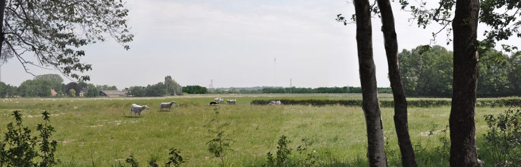 Opstelterrein Haren in de zomer