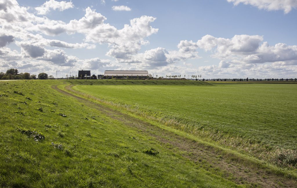 Terp Waalwijk