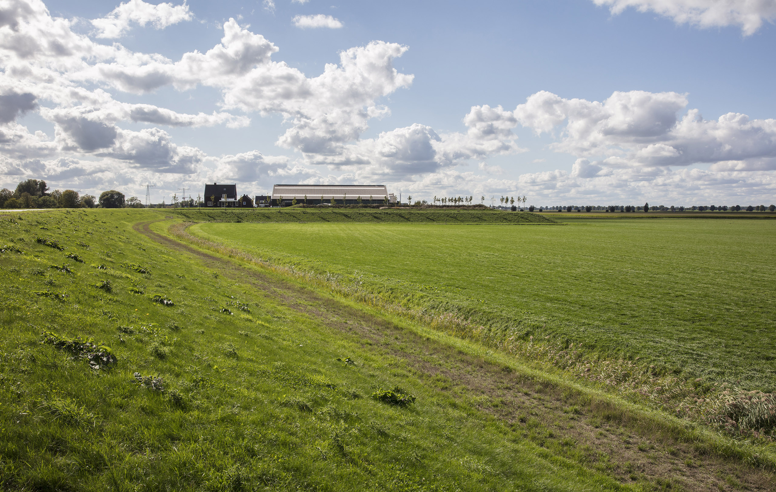 Terp Waalwijk
