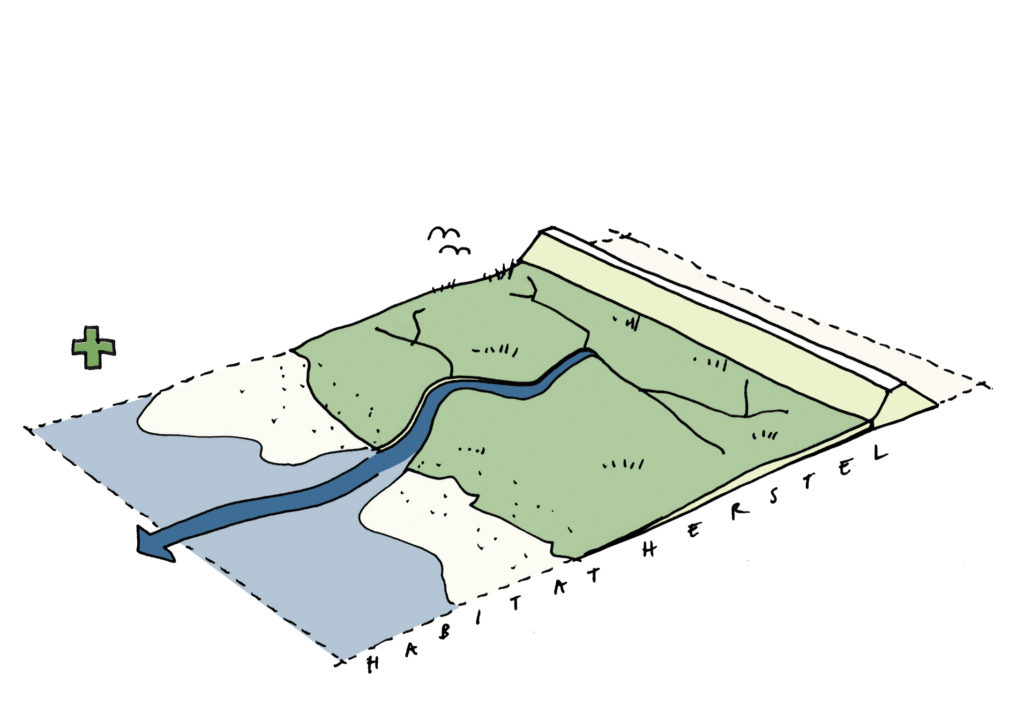 habitat herstel bouwsteen