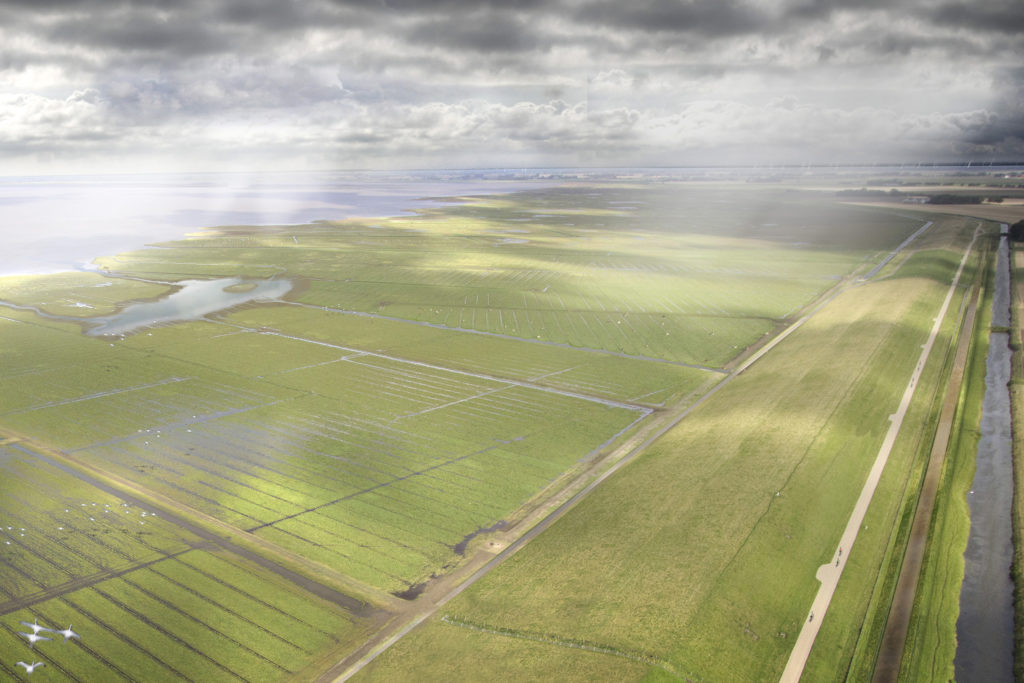 Impressie Dollard Dijk