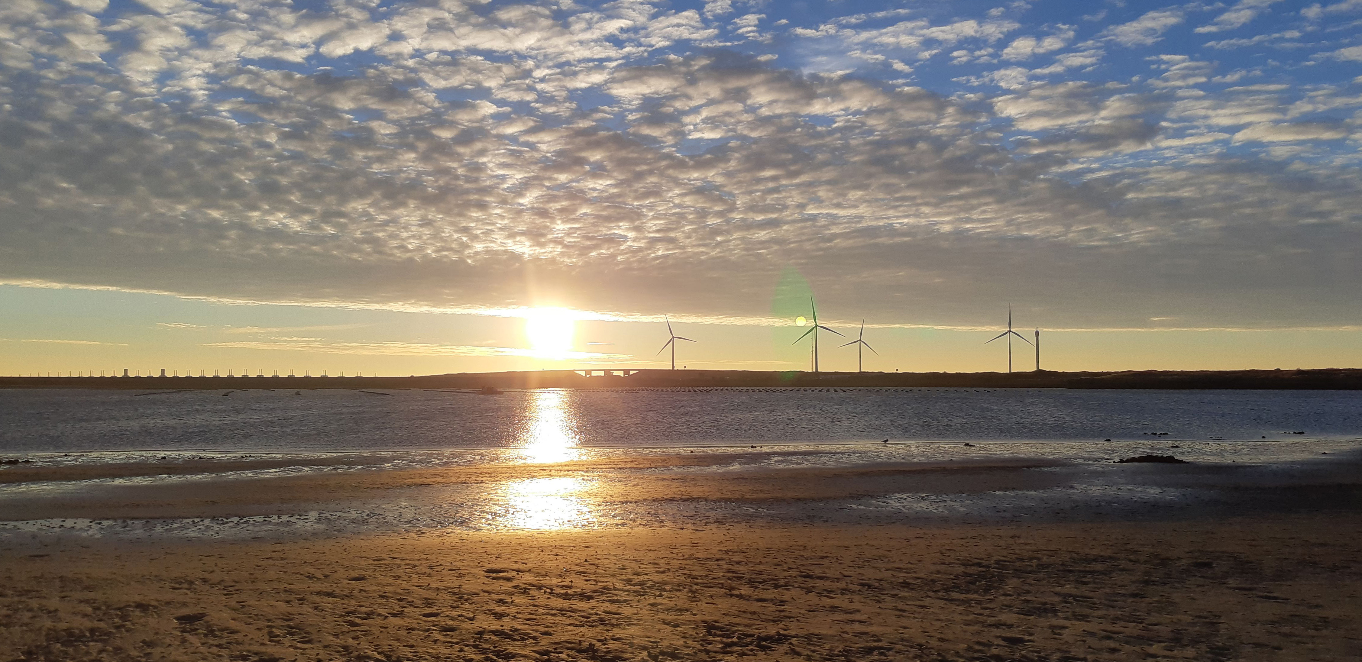 Zicht op de windturbines Neeltje Jans