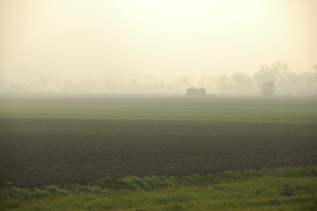 Foto van de linie