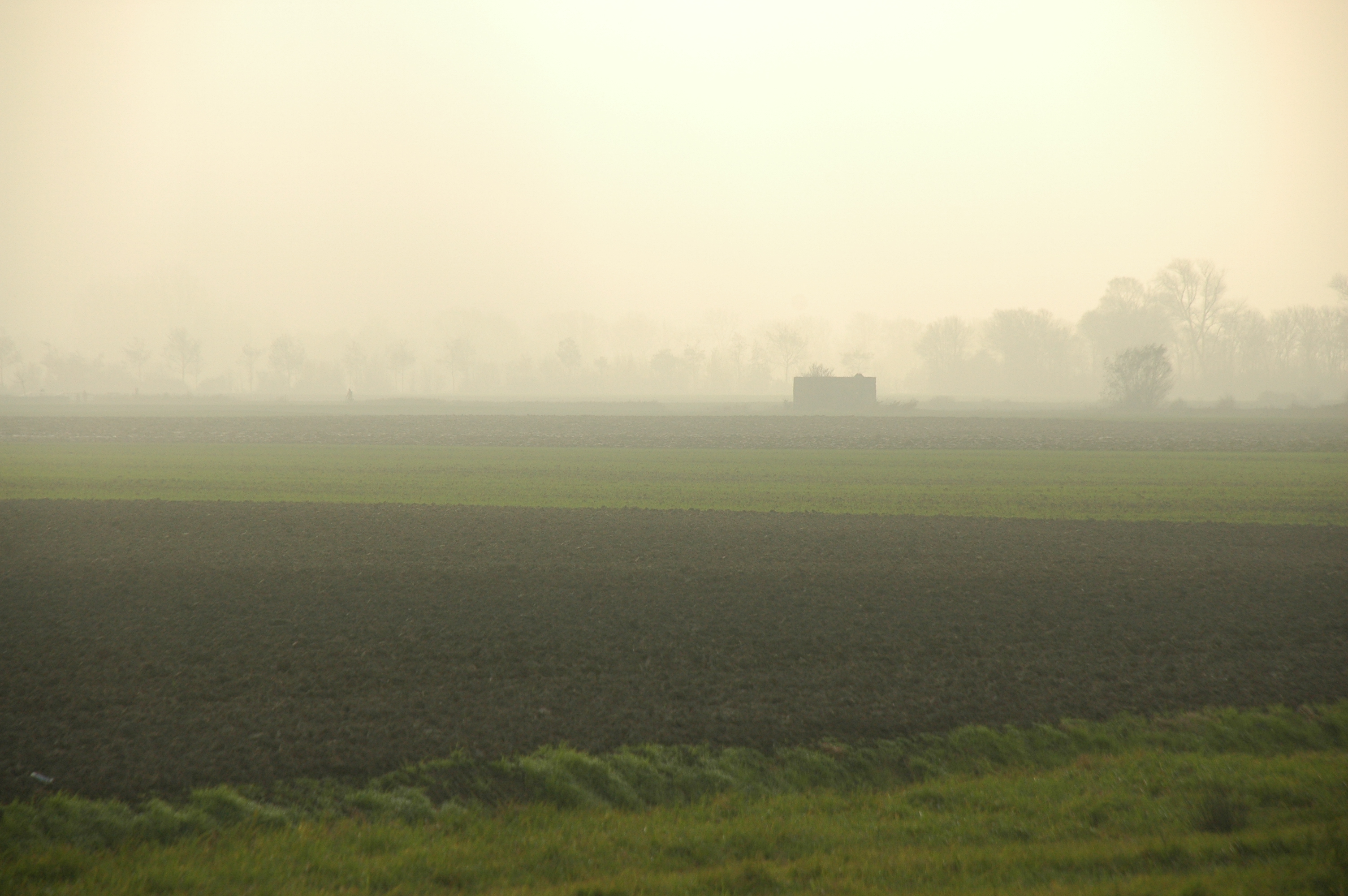 Foto van de linie