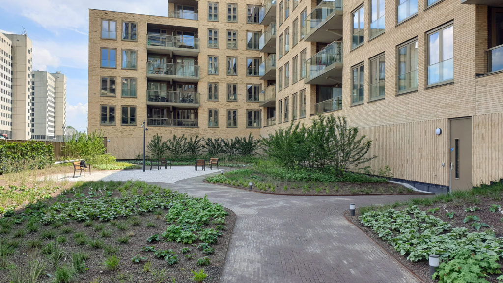 STATE binnentuin beplanting in ontwikkeling