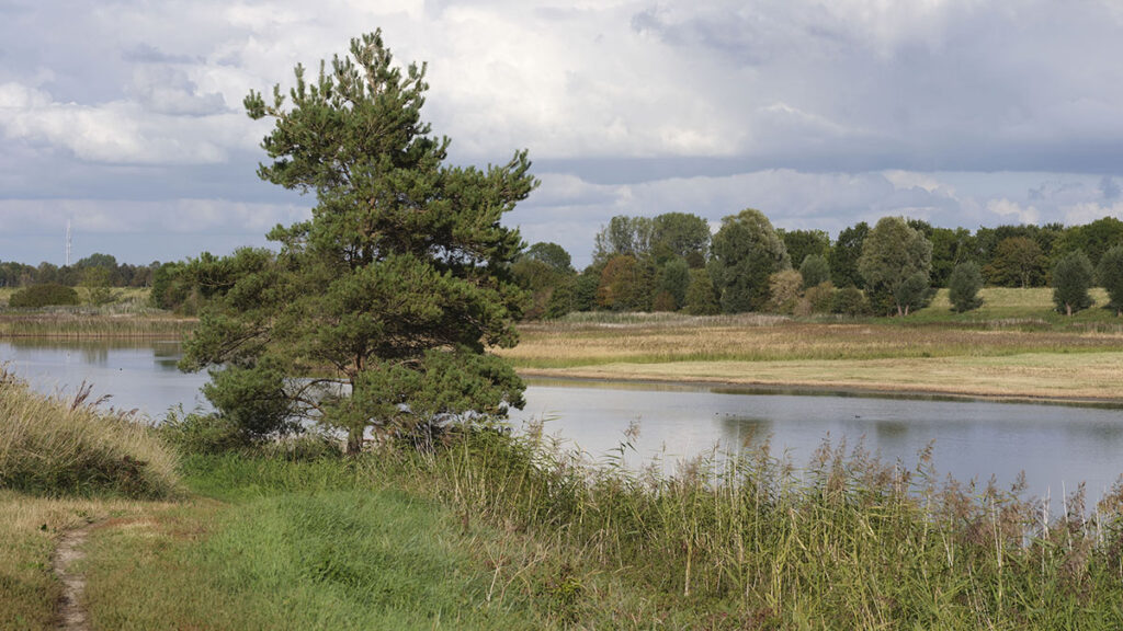 Bosvisie Zeeland BoschSlabbers
